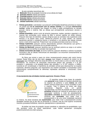 Curso de Fisiologia 2007 Ciclo de Neurofisiologia
Departamento de Fisiologia, IB Unesp-Botucatu Profa. Silvia M. Nishida
112
As seis camadas neocorticais são:
I. Molecular (fibras de projeção horizontal, só as células de Cajal)
II. Granular externa (células granulares)
III. Piramidal externa (células piramidais)
IV. Granular interna (células granulares)
V. Piramidal interna (células piramidais)
VI. Células fusiformes (células fusiformes)
• Células granulares (=estreladas): que possuem ramificações dendríticas próximas ao corpo e
um axônio que só se comunicam com as células vizinhas. É o principal interneurônio
cortical, recebe as projeções que chegam no córtex e estão principalmente na camada
granular interna e externa. São as células que principalmente aumentaram durante a
filogênese.
• Células piramidais: variam muito de tamanho (pequenas, medias, grandes e gigantes) e as
maiores são conhecidas como células de Betz e ocorrem apenas em áreas motoras.
Possuem dois tipos de dendritos: apicais (dirige-se para as camadas mais superficiais onde
termina) e as basais (bem curtos, distribui-se próximo ao corpo celular). Os axônios
geralmente ganham a substância branca e constituem a via eferente das células corticais
(como o trato córtico-espinhal). Predominam nas camadas piramidais externas e internas.
• Células fusiformes: possuem axônios descendentes (portanto efetuadoras) que ganha a
substância branca e concentram-se na camada fusiforme.
• Células de Martinotti: possuem dendritos que se ramificam próximo ao corpo e um axônio
ascendente que se ramifica na camada mais superficial.
• Células horizontais (de Cajal): de forma fusiforme, possuem dendritos e axônios na posição
horizontal e são as células intercorticais de associação e se encontram exclusivamente na
camada molecular.
As fibras que entram e saem do córtex necessariamente passam pelo centro branco
medular. Essas fibras são de dois tipos: projeção (que chegam ou partem do cortex) ou de
associação (que interligam diferentes áreas do córtex no mesmo lado ou entre os córtex dos dois
hemisférios). Os neurônios de associação intercorticais partem das camadas II e III (NT
excitatório, o glutamato) e de projeção partem das camadas V e VI (NT inibitório, o GABA).
Levando-se em consideração a importância da atividade cortical para desempenhar as funções
superiores, devemos perguntar: que mecanismos nos mantem acordados e conscientes? Como
experientamos conscientemente as diferentes impressões sensoriais e emocionais? Como
dormimos?
A neuroanatomia das atividades mentais superiores: Gnosia e Praxia
O neocórtex possui duas áreas de projeção:
uma sensorial (onde recebe os impulsos aferentes que
se originam da periferia) e outra motora (de onde
emitem axônios longos para o tronco encefálico e para
a medula). Todo o restante do córtex são áreas
associativas. Segundo Luria, um grande
neuropsicólogo, as áreas de projeção são denominadas
primárias (podendo ser motoras ou sensoriais) e as de
associação, conforme o nível de processamento,
secundário e terciário. As áreas secundárias como as
primárias são unimodais, pois neste nível o
processamento é de uma única modalidade (sensorial
ou motora). As áreas terciárias são supramodais, pois neste nível o processamento envolve
atividades mentais que já não são só sensoriais ou motoras, mas de nível superior envolvendo
memória, processos simbólicos, raciocínio, planejamento e o pensamento.
As lesões nas áreas de projeção causam paralisias ou alterações de sensibilidade o que
não acontece coma as áreas associativas, cujas lesões apresentam conotações
predominantemente de ordem psíquica.
 
