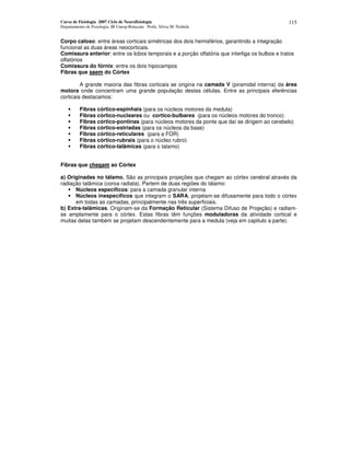 Curso de Fisiologia 2007 Ciclo de Neurofisiologia
Departamento de Fisiologia, IB Unesp-Botucatu Profa. Silvia M. Nishida
115
Corpo caloso: entre áreas corticais simétricas dos dois hemisférios, garantindo a integração
funcional as duas áreas neocorticais.
Comissura anterior: entre os lobos temporais e a porção olfatória que interliga os bulbos e tratos
olfatórios
Comissura do fórnix: entre os dois hipocampos
Fibras que saem do Córtex
A grande maioria das fibras corticais se origina na camada V (piramidal interna) da área
motora onde concentram uma grande população destas células. Entre as principais eferências
corticais destacamos:
Fibras córtico-espinhais (para os núcleos motores da medula)
Fibras córtico-nucleares ou cortico-bulbares (para os núcleos motores do tronco)
Fibras córtico-pontinas (para núcleos motores da ponte que daí se dirigem ao cerebelo)
Fibras córtico-estriadas (para os núcleos da base)
Fibras córtico-reticulares (para a FOR)
Fibras córtico-rubrais (para o núcleo rubro)
Fibras córtico-talâmicas (para o talamo)
Fibras que chegam ao Córtex
a) Originadas no tálamo. São as principais projeções que chegam ao córtex cerebral através da
radiação talâmica (coroa radiata). Partem de duas regiões do tálamo:
Núcleos específicos: para a camada granular interna
Núcleos inespecíficos que integram o SARA, projetam-se difusamente para todo o córtex
em todas as camadas, principalmente nas três superficiais.
b) Extra-talâmicas. Originam-se da Formação Reticular (Sistema Difuso de Projeção) e radiam-
se amplamente para o córtex. Estas fibras têm funções moduladoras da atividade cortical e
muitas delas também se projetam descendentemente para a medula (veja em capitulo a parte).
 