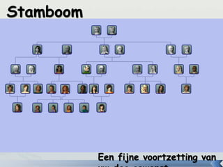 Een fijne voortzetting van
Stamboom
 
