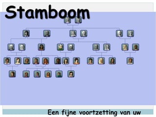 Stamboom
Een fijne voortzetting van uw
 