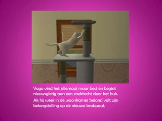 Vago vind het allemaal maar best en begint nieuwsgierig aan een zoektocht door het huis.Als hij weer in de woonkamer beland valt zijn belangstelling op de nieuwe krabpaal.