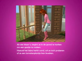 Als dat klaar is, begint ze in de grond te harken om een gaatje te maken.Hoewel het bijna herfst word, wil ze toch proberen of ze een tomatenplantje kan kweken.