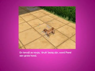 En terwijl ze nouja, ‘druk’ bezig zijn, word Parel een grote hond.