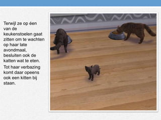 Terwijl ze op éen van de keukenstoelen gaat zitten om te wachten op haar late avondmaal, besluiten ook de katten wat te eten.Tot haar verbazing komt daar opeens ook een kitten bij staan.