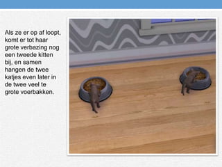 Als ze er op af loopt, komt er tot haar grote verbazing nog een tweede kitten bij, en samen hangen de twee katjes even later in de twee veel te grote voerbakken.