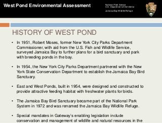 National Park Service
U.S. Department of the Interior
Jamaica Bay Wildlife Refuge
West Pond Environmental Assessment
HISTO...