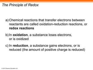 © 2015 Pearson Education Ltd
The Principle of Redox
a) Chemical reactions that transfer electrons between
reactants are called oxidation-reduction reactions, or
redox reactions
b) In oxidation, a substance loses electrons,
or is oxidized
c) In reduction, a substance gains electrons, or is
reduced (the amount of positive charge is reduced)
 