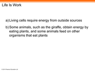 © 2015 Pearson Education Ltd
Life Is Work
a) Living cells require energy from outside sources
b) Some animals, such as the giraffe, obtain energy by
eating plants, and some animals feed on other
organisms that eat plants
 