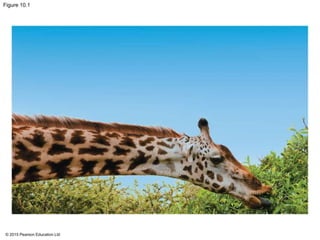 © 2015 Pearson Education Ltd
Figure 10.1
 