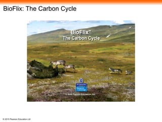 © 2015 Pearson Education Ltd
BioFlix: The Carbon Cycle
 