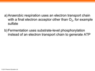 © 2015 Pearson Education Ltd
a) Anaerobic respiration uses an electron transport chain
with a final electron acceptor other than O2, for example
sulfate
b) Fermentation uses substrate-level phosphorylation
instead of an electron transport chain to generate ATP
 