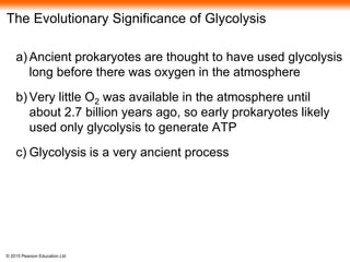 © 2015 Pearson Education Ltd
The Evolutionary Significance of Glycolysis
a) Ancient prokaryotes are thought to have used glycolysis
long before there was oxygen in the atmosphere
b) Very little O2 was available in the atmosphere until
about 2.7 billion years ago, so early prokaryotes likely
used only glycolysis to generate ATP
c) Glycolysis is a very ancient process
 