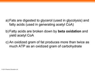 © 2015 Pearson Education Ltd
a) Fats are digested to glycerol (used in glycolysis) and
fatty acids (used in generating acetyl CoA)
b) Fatty acids are broken down by beta oxidation and
yield acetyl CoA
c) An oxidized gram of fat produces more than twice as
much ATP as an oxidized gram of carbohydrate
 