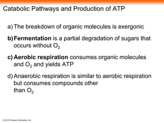 © 2015 Pearson Education Ltd
Catabolic Pathways and Production of ATP
a) The breakdown of organic molecules is exergonic
b)Fermentation is a partial degradation of sugars that
occurs without O2
c) Aerobic respiration consumes organic molecules
and O2 and yields ATP
d) Anaerobic respiration is similar to aerobic respiration
but consumes compounds other
than O2
 