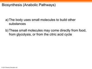 © 2015 Pearson Education Ltd
Biosynthesis (Anabolic Pathways)
a) The body uses small molecules to build other
substances
b) These small molecules may come directly from food,
from glycolysis, or from the citric acid cycle
 