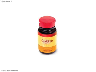 © 2015 Pearson Education Ltd
Figure 10.UN17
 