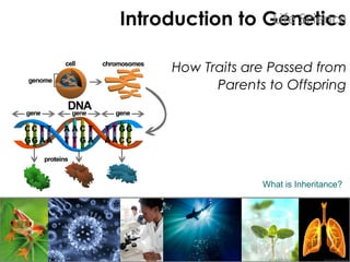 Introduction to Genetics
How Traits are Passed from
Parents to Offspring
Life Science
What is Inheritance?
 