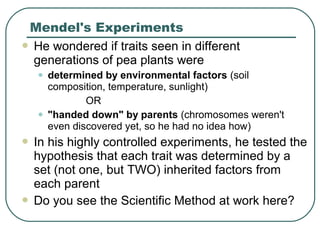 Mendel's Experiments
 He wondered if traits seen in different
generations of pea plants were
• determined by environmental factors (soil
composition, temperature, sunlight)
OR
• "handed down" by parents (chromosomes weren't
even discovered yet, so he had no idea how)
 In his highly controlled experiments, he tested the
hypothesis that each trait was determined by a
set (not one, but TWO) inherited factors from
each parent
 Do you see the Scientific Method at work here?
 