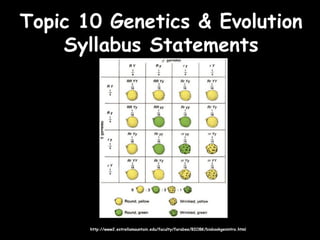 Topic 10 Genetics & EvolutionTopic 10 Genetics & Evolution
Syllabus StatementsSyllabus Statements
http://www2.estrellamountain.edu/faculty/farabee/BIOBK/biobookgenintro.htmlhttp://www2.estrellamountain.edu/faculty/farabee/BIOBK/biobookgenintro.html
 