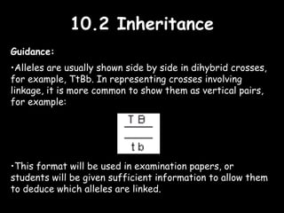 10.2 Inheritance10.2 Inheritance
Guidance:
•Alleles are usually shown side by side in dihybrid crosses,
for example, TtBb. In representing crosses involving
linkage, it is more common to show them as vertical pairs,
for example:
•This format will be used in examination papers, or
students will be given sufficient information to allow them
to deduce which alleles are linked.
 