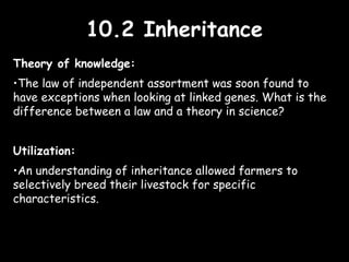 10.2 Inheritance10.2 Inheritance
Theory of knowledge:
•The law of independent assortment was soon found to
have exceptions when looking at linked genes. What is the
difference between a law and a theory in science?
Utilization:
•An understanding of inheritance allowed farmers to
selectively breed their livestock for specific
characteristics.
 