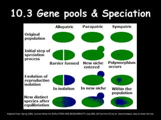 10.3 Gene pools & Speciation10.3 Gene pools & Speciation
Adapted from: Spring 2006, Lecture Notes for EVOLUTION AND BIODIVERSITY class (BIL 160 Section HJ) by Dr. Dana Krempels, dana at miami dot edu.
 