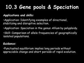 10.3 Gene pools & Speciation10.3 Gene pools & Speciation
Applications and skills:
•Application: Identifying examples of directional,
stabilizing and disruptive selection.
•Application: Speciation in the genus Allium by polyploidy.
•Skill: Comparison of allele frequencies of geographically
isolated populations.
Guidance:
•Punctuated equilibrium implies long periods without
appreciable change and short periods of rapid evolution.
 