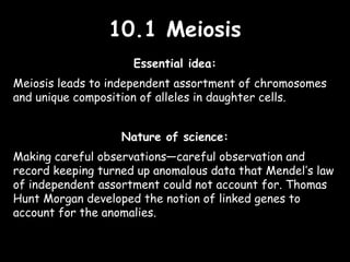 10.1 Meiosis10.1 Meiosis
Essential idea:
Meiosis leads to independent assortment of chromosomes
and unique composition of alleles in daughter cells.
Nature of science:
Making careful observations—careful observation and
record keeping turned up anomalous data that Mendel’s law
of independent assortment could not account for. Thomas
Hunt Morgan developed the notion of linked genes to
account for the anomalies.
 