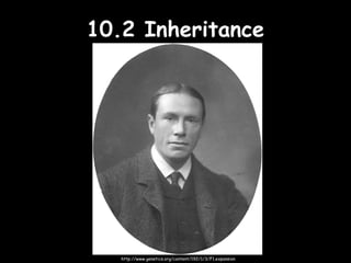 10.2 Inheritance10.2 Inheritance
http://www.genetics.org/content/192/1/3/F1.expansion
 