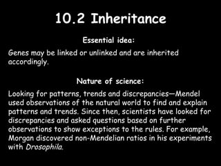 10.2 Inheritance10.2 Inheritance
Essential idea:
Genes may be linked or unlinked and are inherited
accordingly.
Nature of science:
Looking for patterns, trends and discrepancies—Mendel
used observations of the natural world to find and explain
patterns and trends. Since then, scientists have looked for
discrepancies and asked questions based on further
observations to show exceptions to the rules. For example,
Morgan discovered non-Mendelian ratios in his experiments
with Drosophila.
 