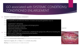  PREGNANCY-ASSOCIATED GINGIVAL OVERGROWTH
- common pathology in pregnancy
- marginal and generalized
- single or multiple tumor-like masses
- ETIOLOGY:
 Marginal Enlargement
- results from the aggravation of previous inflammation – does not occur without the presence of bacterial plaque
- clinical picture varies considerably-- usually generalized
- tends to be more prominent interproximally than on the facial and lingual surfaces
- bright red or magenta, soft, and friable and has a smooth, shiny surface.
- Bleeding occurs spontaneously or on slight provocation.
GO associated with SYSTEMIC CONDITIONS/
CONDITIONED ENLARGEMENT
- ↑ levels of PROGESTERONE (10x) and ESTROGEN (30x) by the end of the third trimester
- These hormonal changes induce changes in vascular permeability-- gingival edema, ↑ inflammatory response
to dental plaque.
- changes in subgingival microbiota -- ↑ Prevotella intermedia [RABER-DURLACHER et al., 1994]
Susceptibility to periodontal infection increases during early gestation due to:
- suppressed T-cell activity
- decreased neutrophil chemotaxis and phagocytosis
- altered lymphocyte response
- depressed antibody production
- chronic maternal stress
- down- regulation of IL-6 production, rendering the gingiva less efficient at resisting the
inflammatory challenges produced by the bacteria
- decreased levels of IgG
 