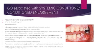  PREGNANCY-ASSOCIATED GINGIVAL OVERGROWTH
 Tumor-like Gingival Enlargement
- aka pregnancy tumor
- inflammatory response to bacterial plaque and is modified by the patient’s condition
- appears after the third month of pregnancy but may occur earlier
- discrete, mushroom-like, flattened spherical mass that protrudes from the gingival margin or more often from
the interproximal space and is attached by a sessile or pedunculated base
- tends to expand laterally– pressure from the tongue and the cheek perpetuates its flattened appearance
- Generally dusky red or magenta, it has a smooth, glistening surface that often exhibits numerous deep-red,
pinpoint markings
- superficial lesion and usually does not invade the underlying bone.
- The consistency varies; the mass is usually semifirm, but it may have various degrees of softness and friability
- painless unless its size and shape foster accumulation of debris under its margin or interfere with occlusion, in
which case, painful ulceration may occur.
GO associated with SYSTEMIC CONDITIONS/
CONDITIONED ENLARGEMENT
 