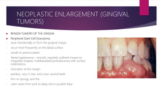  BENIGN TUMORS OF THE GINGIVA
 Peripheral Giant Cell Granuloma
- arise interdentally or from the gingival margin
- occur most frequently on the labial surface
- sessile or pedunculated
- Varied appearance-- smooth, regularly outlined masses to
irregularly shaped, multilobulated protuberances with surface
indentations
- Ulceration at the margin
- painless, vary in size, and cover several teeth
- firm or spongy, and the
- color varies from pink to deep red or purplish blue
NEOPLASTIC ENLARGEMENT (GINGIVAL
TUMORS)
 
