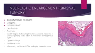  BENIGN TUMORS OF THE GINGIVA
 Leukoplakia
 HISTOPATHOLOGY
- Hyperkeratosis
- Acanthosis
- Variable degree of atypical epithelial changes (mild, moderate, or
severe) depending on the extent of involvement of the epithelial
layers
- Dysplastic changes
- Carcinoma in situ
- Inflammatory involvement of the underlying connective tissue
NEOPLASTIC ENLARGEMENT (GINGIVAL
TUMORS)
 