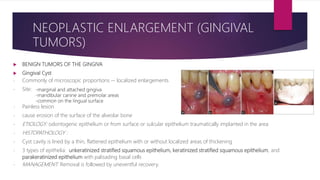  BENIGN TUMORS OF THE GINGIVA
 Gingival Cyst
- Commonly of microscopic proportions -- localized enlargements
- Site:
- Painless lesion
- cause erosion of the surface of the alveolar bone
- ETIOLOGY: odontogenic epithelium or from surface or sulcular epithelium traumatically implanted in the area
- HISTOPATHOLOGY :
- Cyst cavity is lined by a thin, flattened epithelium with or without localized areas of thickening
- 3 types of epithelia: unkeratinized stratified squamous epithelium, keratinized stratified squamous epithelium, and
parakeratinized epithelium with palisading basal cells
- MANAGEMENT: Removal is followed by uneventful recovery.
NEOPLASTIC ENLARGEMENT (GINGIVAL
TUMORS)
-marginal and attached gingiva
-mandibular canine and premolar areas
-common on the lingual surface
 