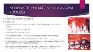  MALIGNANT TUMORS OF GINGIVA
 Carcinoma
- Squamous cell carcinoma is the most common malignant tumor of the
gingiva.
- Exophytic-- irregular outgrowth
- Ulcerative-- flat, erosive lesions
- often symptom free-- unnoticed until complicated by inflammatory
changes that may mask the neoplasm but cause pain
- locally invasive, involving the underlying bone and periodontal ligament of
adjoining teeth and the adjacent mucosa
- Metastasis is usually confined to the region above the clavicle; however,
more extensive involvement may include the lung, liver, or bone
NEOPLASTIC ENLARGEMENT (GINGIVAL
TUMORS)
 