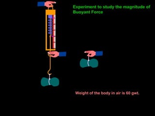0
20
40
80
60
100
0
20
40
80
60
100
Experiment to study the magnitude of
Buoyant Force
Weight of the body in air is 60 gwt.
 
