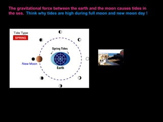 The gravitational force between the earth and the moon causes tides in
the sea. Think why tides are high during full moon and new moon day !
 