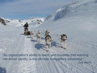 “An organization's ability to learn, and translate that learning into action rapidly, is the ultimate competitive advantage.”Jack Welch 
