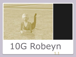 10G Robeyn 1.1 