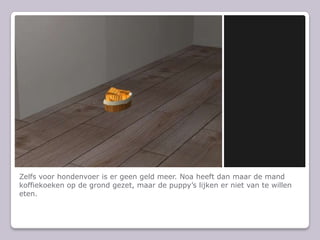 Zelfs voor hondenvoer is er geen geld meer. Noa heeft dan maar de mand koffiekoeken op de grond gezet, maar de puppys lijken er niet van te willen eten.