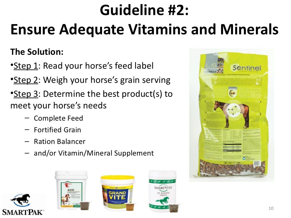 10 Guidelines for Smarter Equine Feeding Strategies