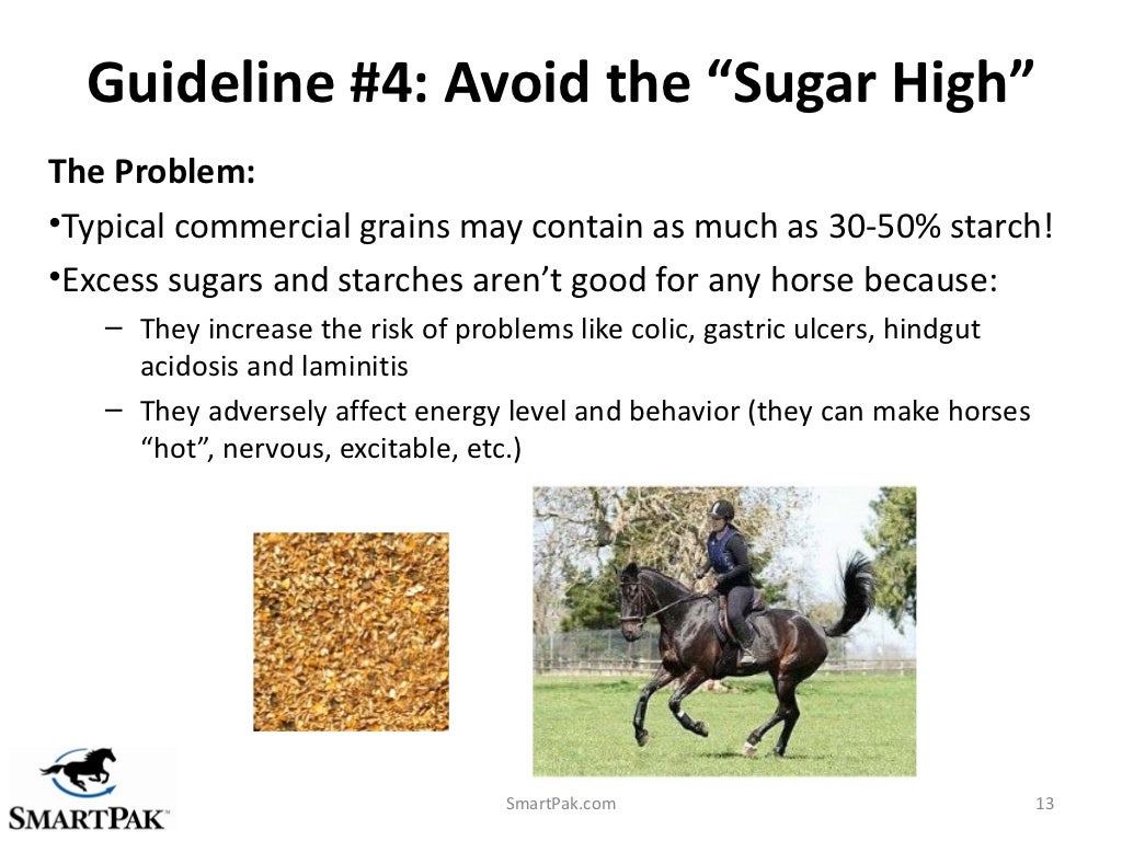 10 Guidelines for Smarter Equine Feeding Strategies