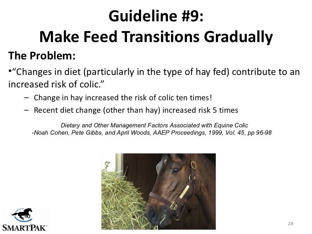 10 Guidelines for Smarter Equine Feeding Strategies