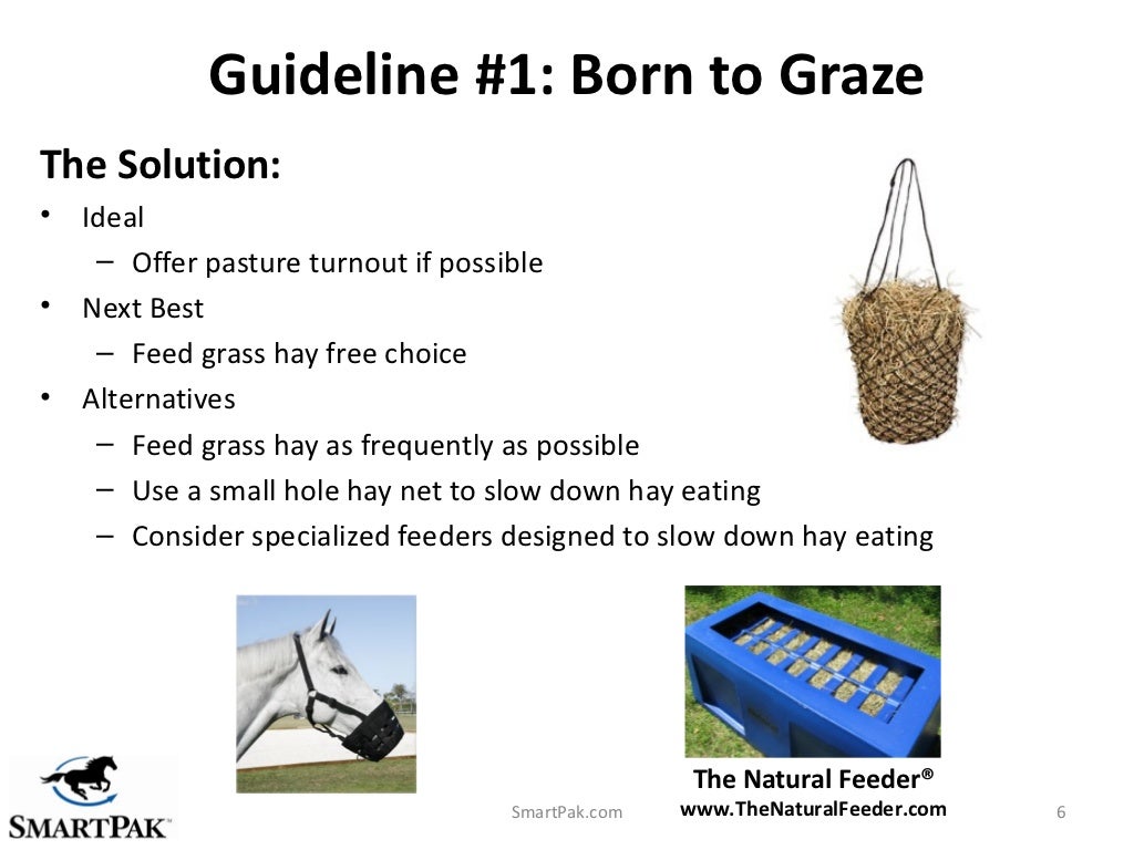 10 Guidelines for Smarter Equine Feeding Strategies