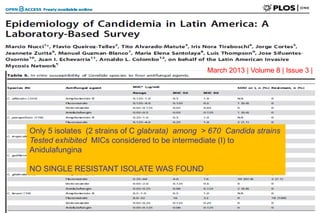 Resistência a Equinocandinas é Rara no Brasil!! 
Only 5 isolates (2 strains of C glabrata) among > 670 Candida strains 
Tested exhibited MICs considered to be intermediate (I) to 
Anidulafungina 
NO SINGLE RESISTANT ISOLATE WAS FOUND 
March 2013 | Volume 8 | Issue 3 |  