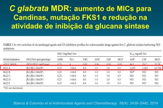 C glabrata MDR: aumento de MICs para Candinas, mutação FKS1 e redução na atividade de inibição da glucana sintase 
Bizerra & Colombo et al Antimicrobial Agents and Chemotherapy 58(4): 2438–2440, 2014  