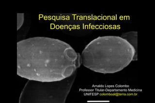Arnaldo Lopes Colombo 
Professor Titular-Departamento Medicina 
UNIFESP colomboal@terra.com.brPesquisa Translacional em Doenças Infecciosas  