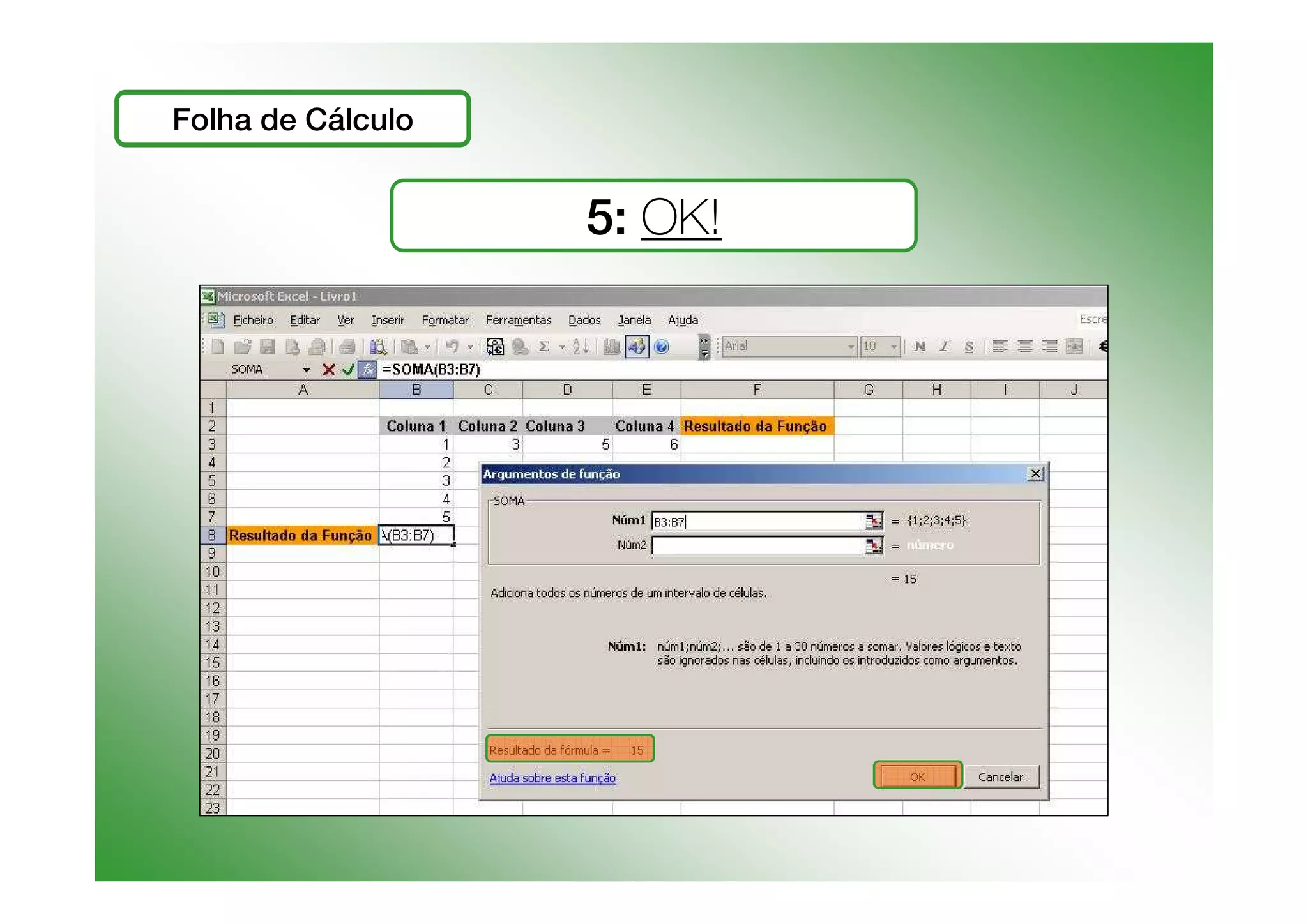 Funções e Cálculos