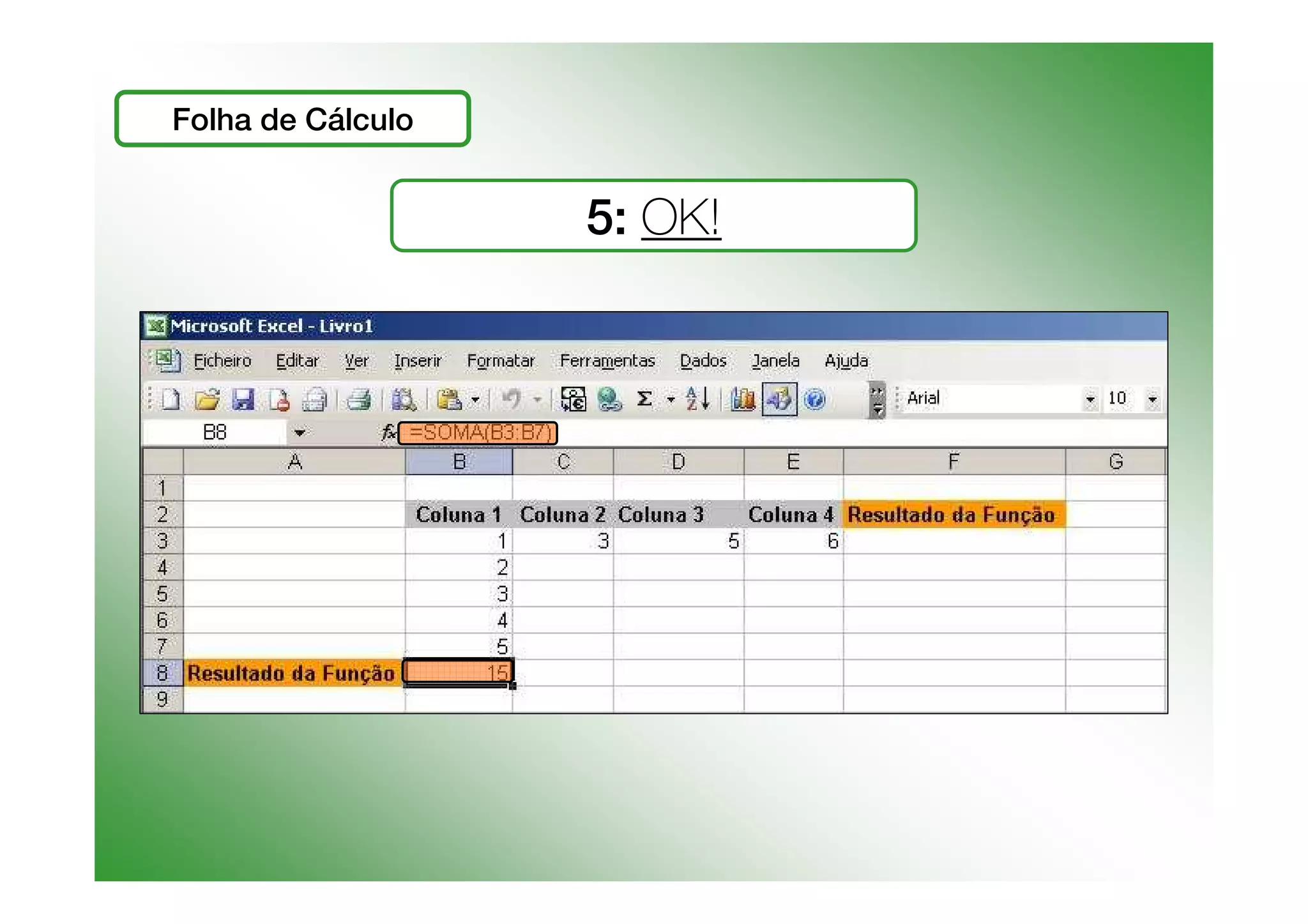 Funções e Cálculos